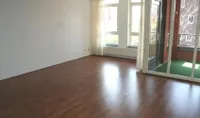 Zilvermeeuwlaan, Den Haag