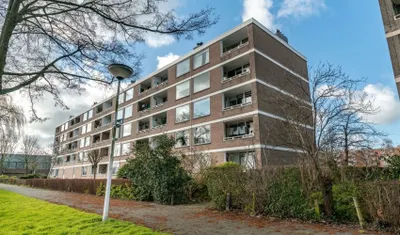 Paramaribostraat , 2315VD, Leiden, Zuid-Holland