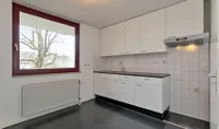 Sphinxlunet, Maastricht