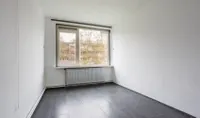 Europalaan, Tilburg