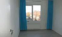 Schollevaartse Dreef, Rotterdam