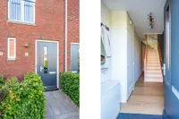 Windkracht 5, Lisse