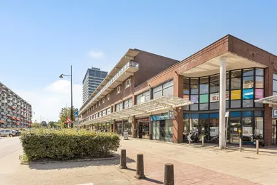 Steenvoordelaan 490, 2284EK, Rijswijk, Zuid-Holland