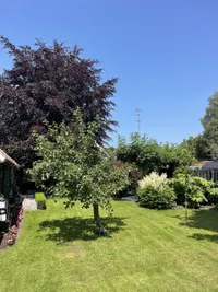 Hoofdweg 111, Westerlee
