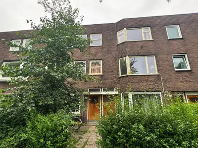 Petrus Campersingel , 9713AH, Groningen, Groningen