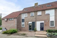 Pinksterbloem, Haastrecht