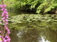 Elshof 23, Veendam