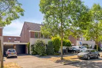 Fuut 37, Bergen Op Zoom