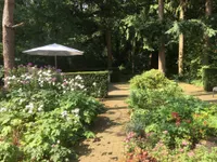 Graaf Janlaan, Zeist