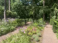 Graaf Janlaan, Zeist