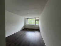 Zeezigt, Diemen