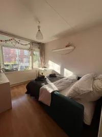 Van Ostadestraat, Amsterdam