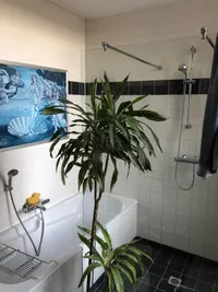 Pretoriusstraat, Amsterdam