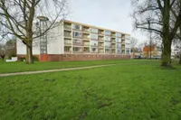 Leverkruidweg, Zaandam