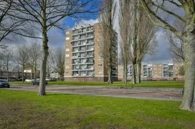 Zuidervaart , 1504BA, Zaandam, Noord-Holland