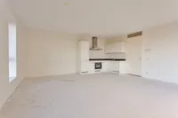 Loevesteinlaan, Den Haag