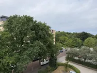 Zonnebloemstraat, Den Haag
