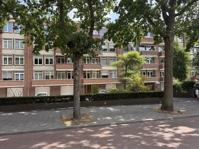 Zonnebloemstraat , 2565RV, Den Haag, Zuid-Holland