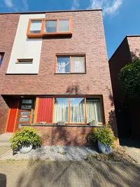Grashoen, Eindhoven