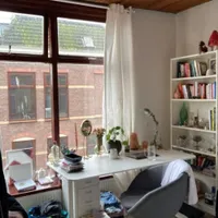 Aloëlaan, Leiden
