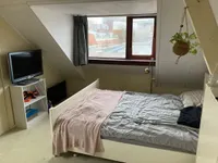 Aloëlaan, Leiden