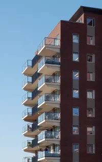 Vossenzoom, Pijnacker