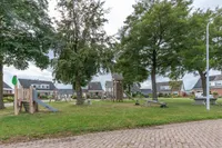 Ermeline 6, Kollum