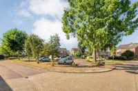 De Gaffel 23, Den Ham