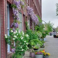 Nijverheidstraat 144, Rotterdam
