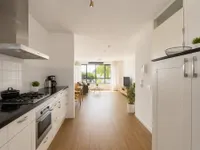 van Hogendorplaan, Vlaardingen