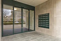 Goudsbloemvallei, Den Bosch