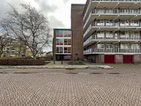 Zwin, Assen