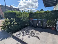Botterstraat, Huizen
