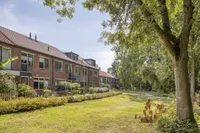 Blauwe Reiger 9, Rozenburg