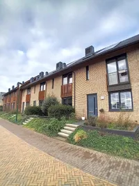 Boomklever, Rhenen