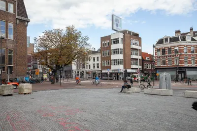 Potterstraat , 3512TB, Utrecht, Utrecht