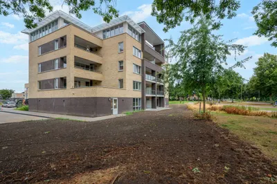 De Zaling , 8251DL, Dronten, Flevoland