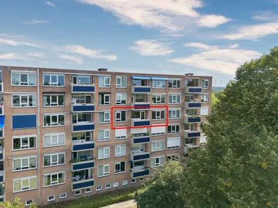 Albert Cuypstraat 82, 5914XH, Venlo, Limburg