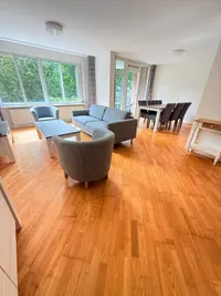 Kanteel, Amsterdam