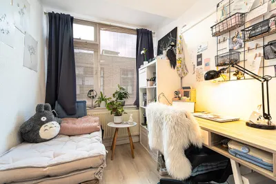 Tollensstraat , 2321XJ, Leiden, Zuid-Holland
