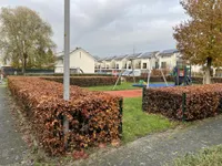 Wielerbaan, Den Haag
