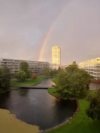 Burgemeester De Monchyplein 141, 's-Gravenhage