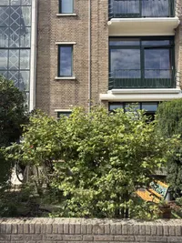 De Savornin Lohmanlaan 80, 's-gravenhage