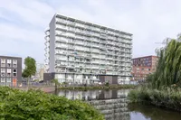 Frissenstein 704, Amsterdam