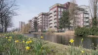Molenwerf, Amsterdam