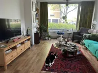 Heinsiusstraat, Schiedam