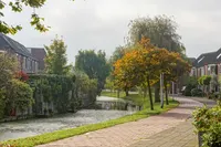 Duizendschoon, Rijnsburg