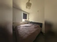 Baandervrouwenlaan, Boxtel