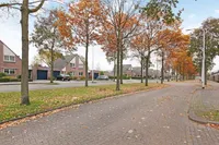Hillegomlaan, Tilburg