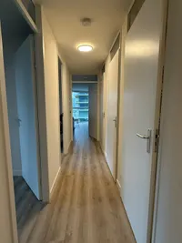 Bierstraat, Rotterdam